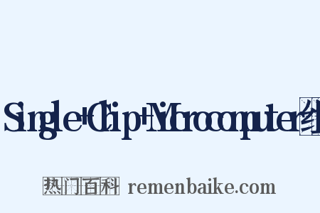 Single+Chip+Microcomputer组词是什么意思的图片
